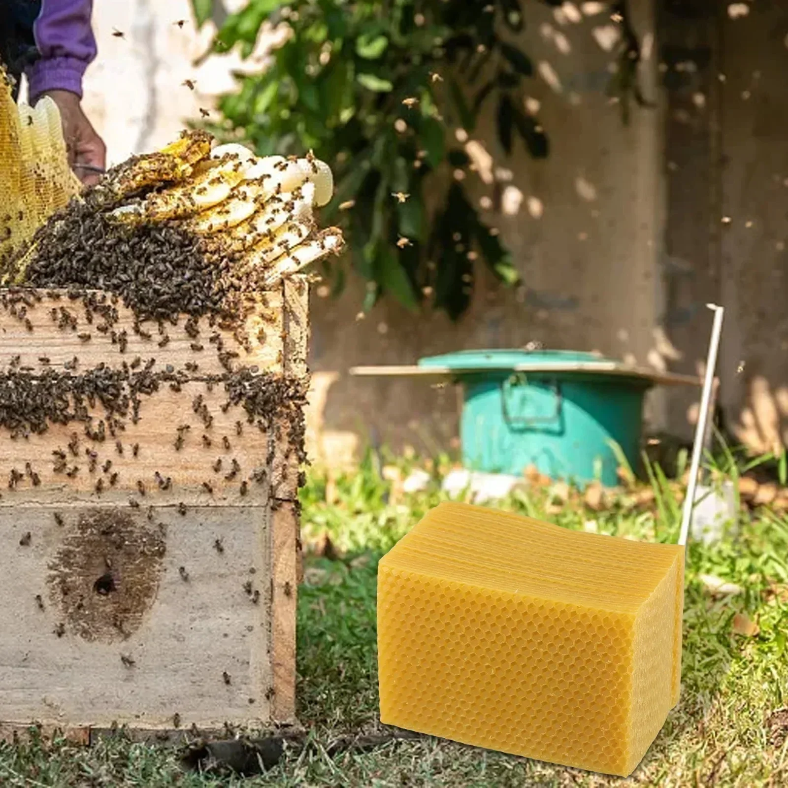 Beehive Supplies Beehive Found - đánh giá và giá Candle Making Kit Beeswax