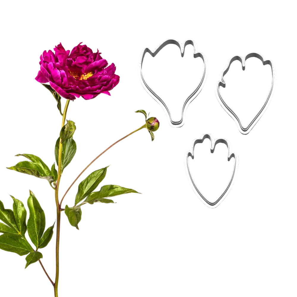 New Peony Silicone Molds&Cutte - đánh giá và giá Candle Making Workshop